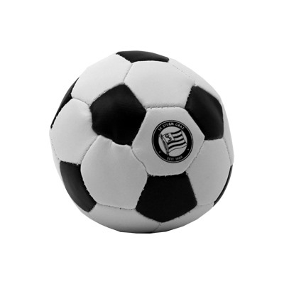 SK Sturm - Softball Logo